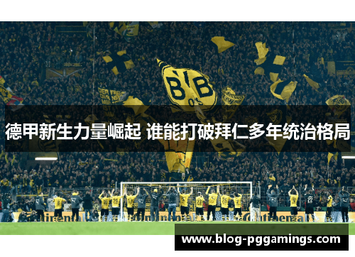 德甲新生力量崛起 谁能打破拜仁多年统治格局