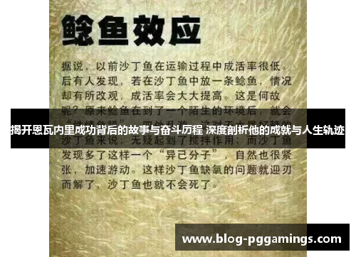 揭开恩瓦内里成功背后的故事与奋斗历程 深度剖析他的成就与人生轨迹
