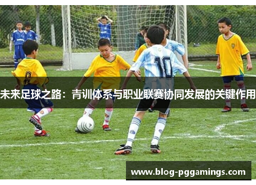 未来足球之路：青训体系与职业联赛协同发展的关键作用